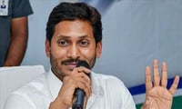 ప్రభుత్వం చేయాల్సిన పని ప్రభుత్వం చేస్తుంది..